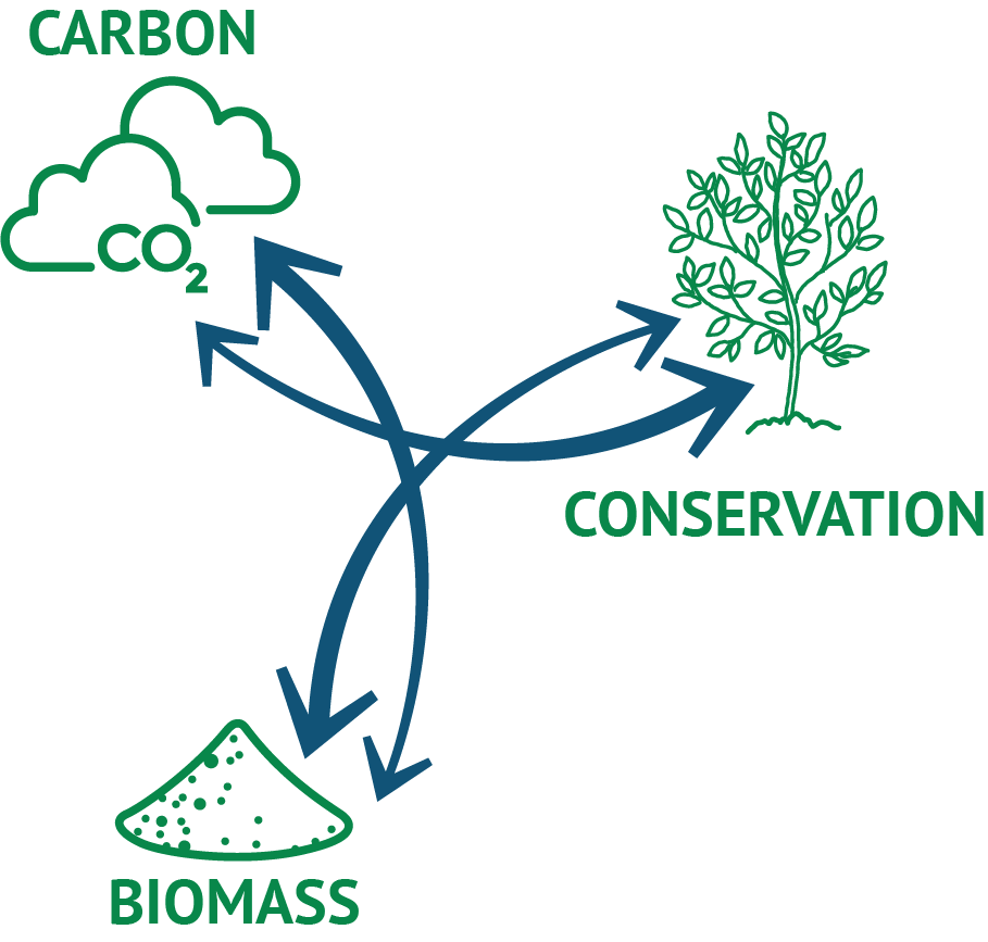 Icons_CO2-Biomass-Conservation