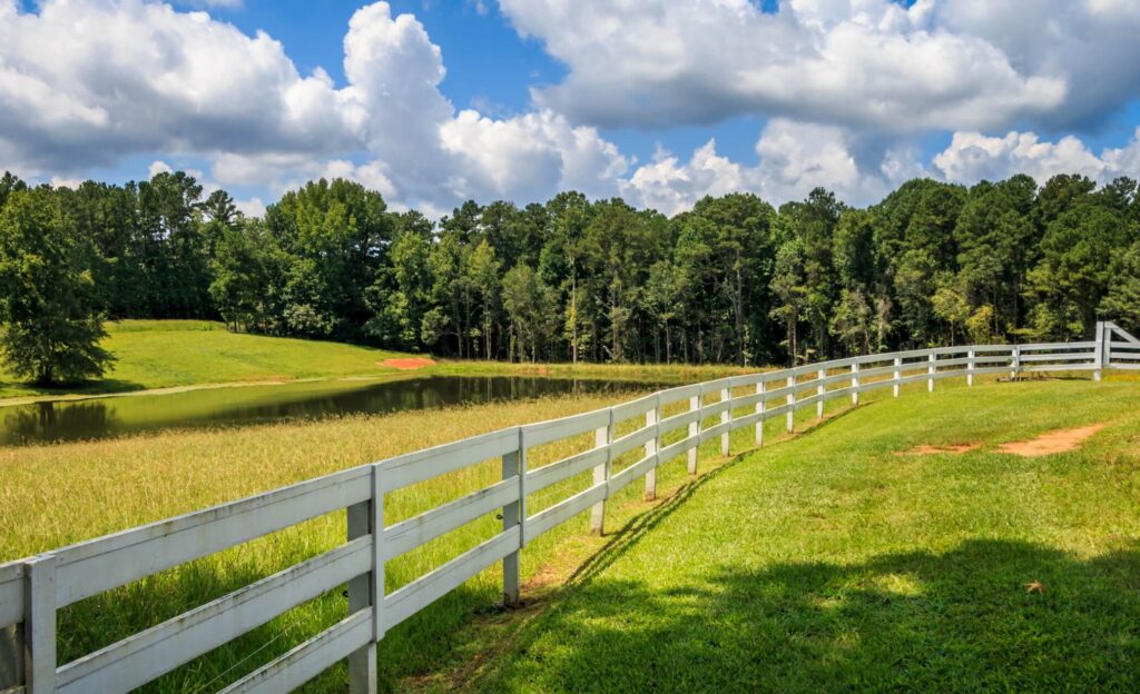 Adding Forest to Your Land