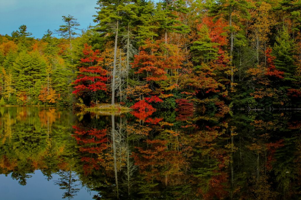 Fall reflections on Hale Lake
